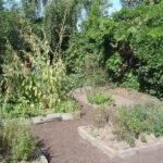 18/04/2026 Visite guidée du Houtweg