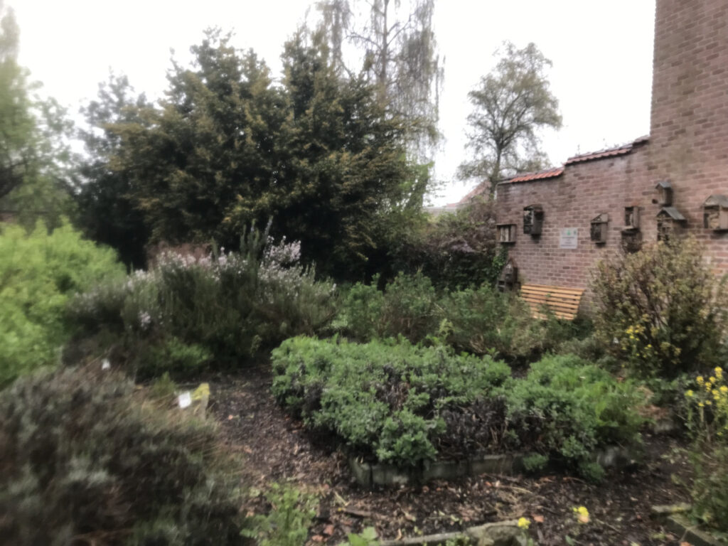 28/06/25 Jardin des aromatiques, AFFLIGEANT !