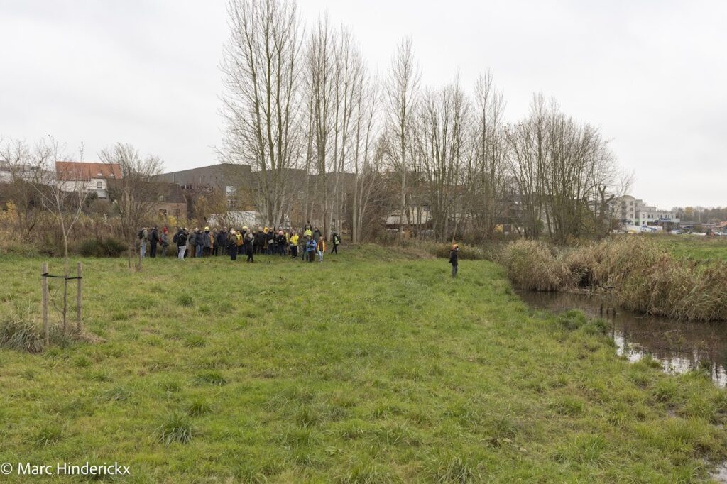 27/11/25 Coordination Senne à Woluwe.