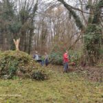 14/02/2026 Gestion mensuelle au Moeraske