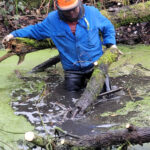 04/04/2026 - Gestion HTM