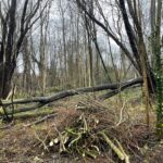 04/01/2026  - Visite Moeraske