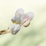 01/03/2026 HtM - Visite guidée mensuelle