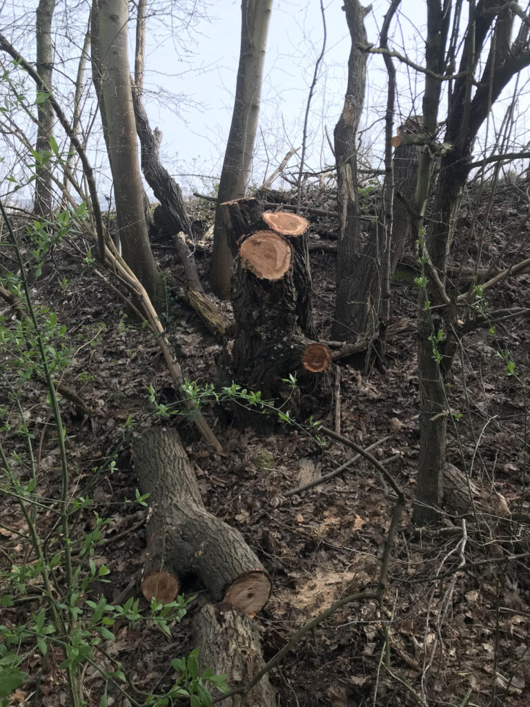 07/03/2026  Gestion HTM