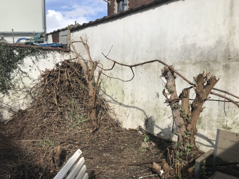 14/03/2026 News gestion Moeraske