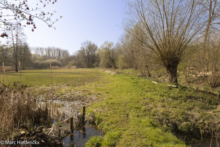 22/03/2026 - News - les journées Bruxelloises de l’eau.