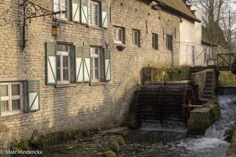 23/03/2026 - News - Inauguration du moulin de Lindekemale à Woluwé.