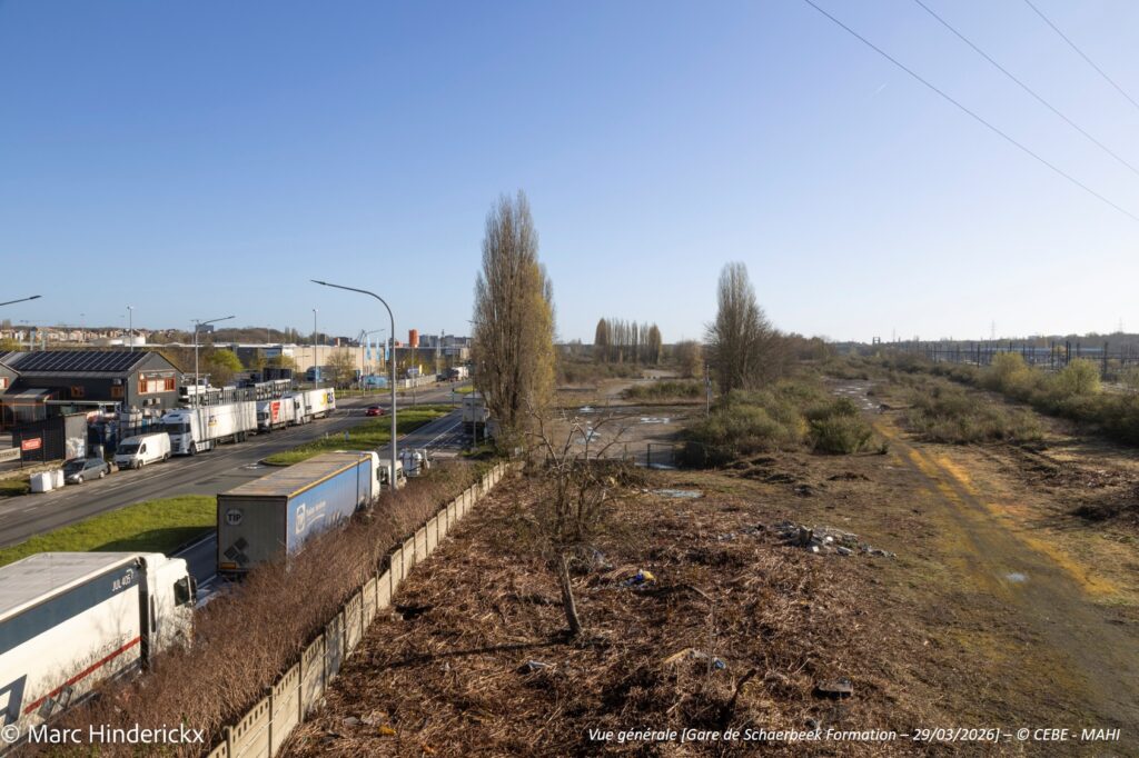 29/03/2026 - News - Relevés botaniques à Schaerbeek Formation