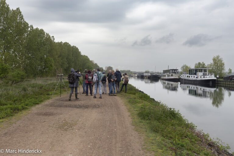 18/04/2026 - News - Sortie Zennegat