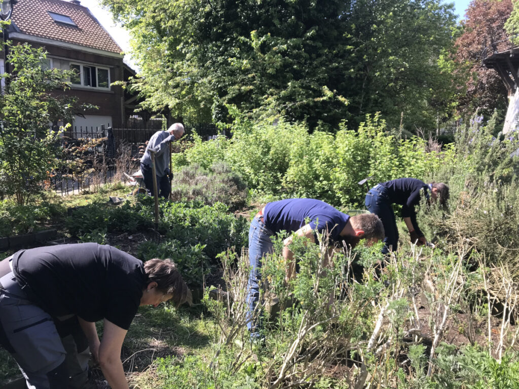 25/04/2026 - News - Potagers