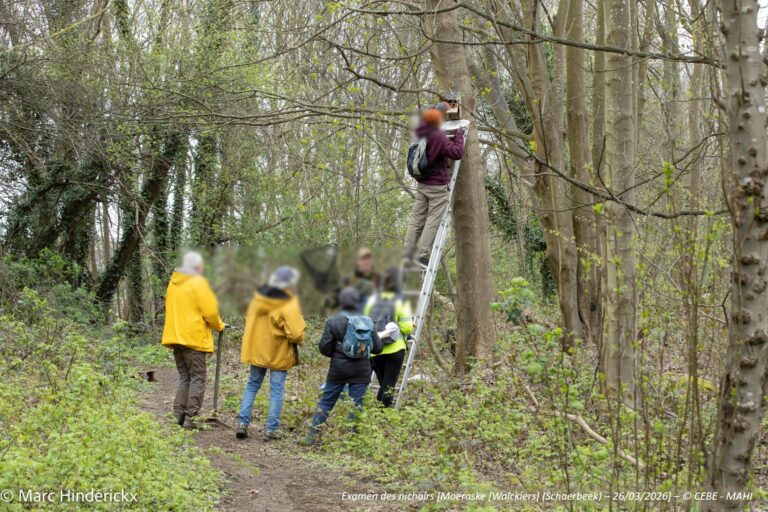 27 et 28/03/2026 - News Opération Chlorophylle