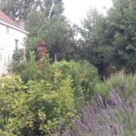 26/09/2026 - Visite Jardin Aromatique