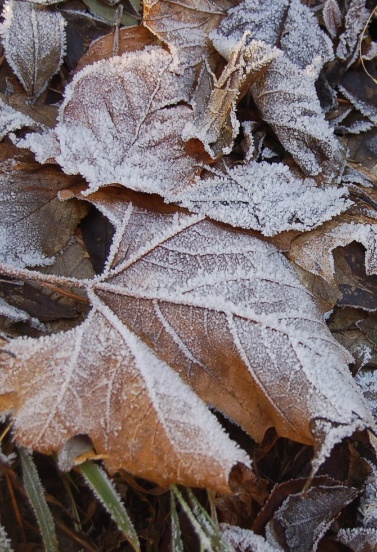 30/05/2026 au 13/06/26 - News