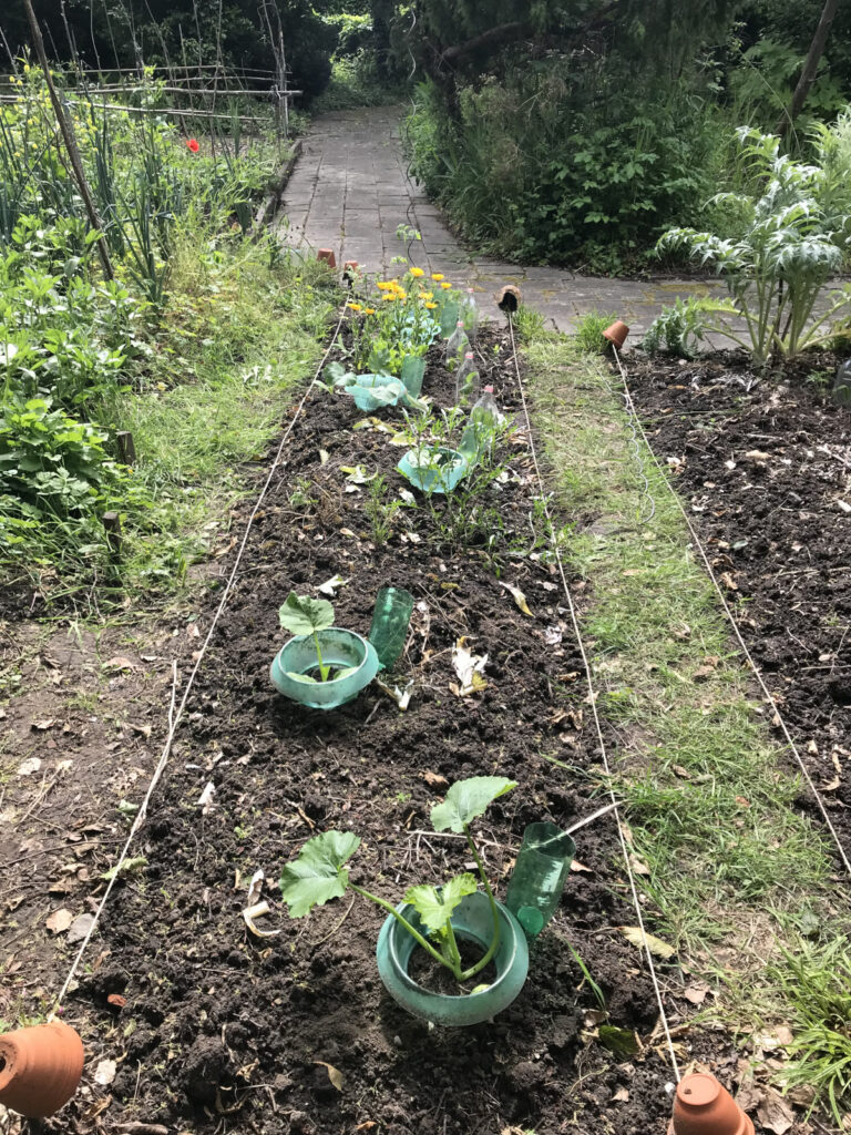 16/05/2026 - News - Potager didactique du Houtweg