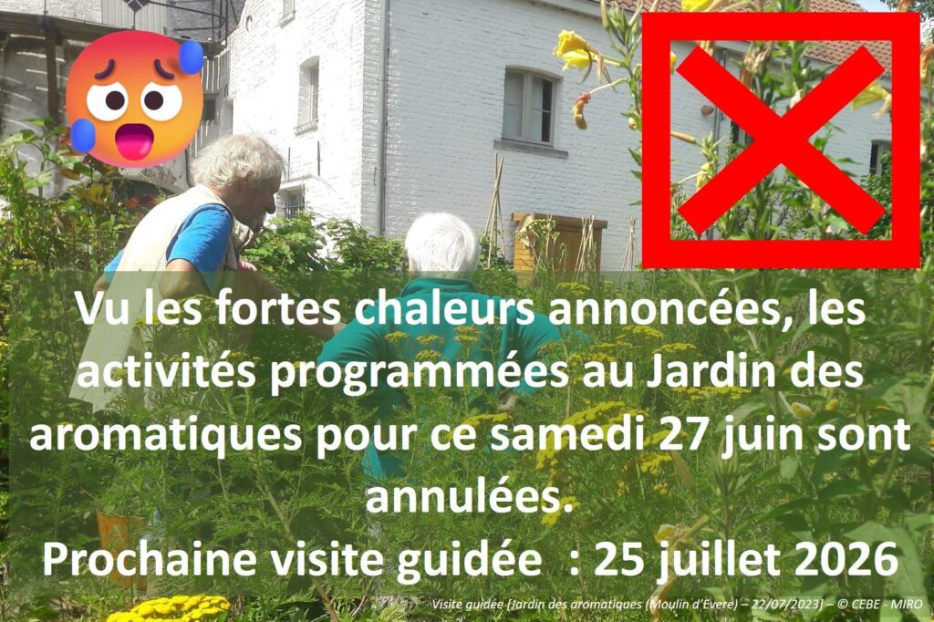 27/06/2026 - News - Visite guidée du jardin des aromatiques / Annulée /