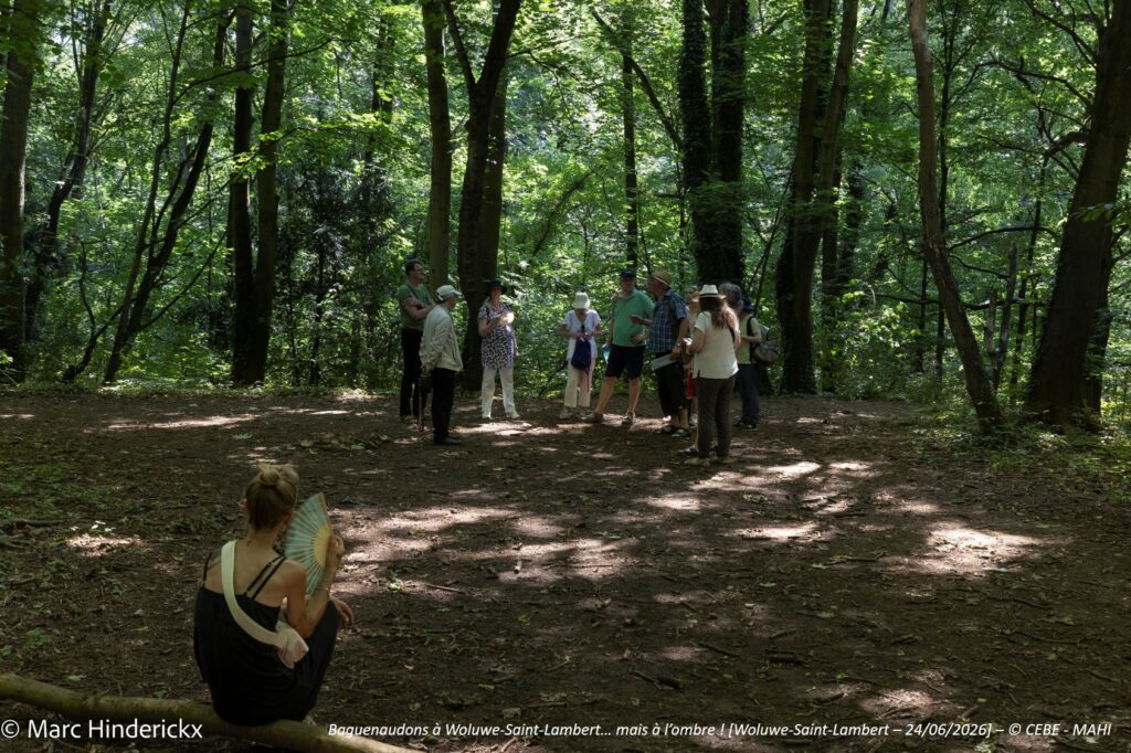24/06/2026 - News - Baguenaudons à Woluwe-Saint-Lambert