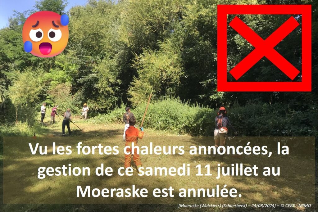 11/07/2026 - News - Gestion Moeraske ANNULÉE