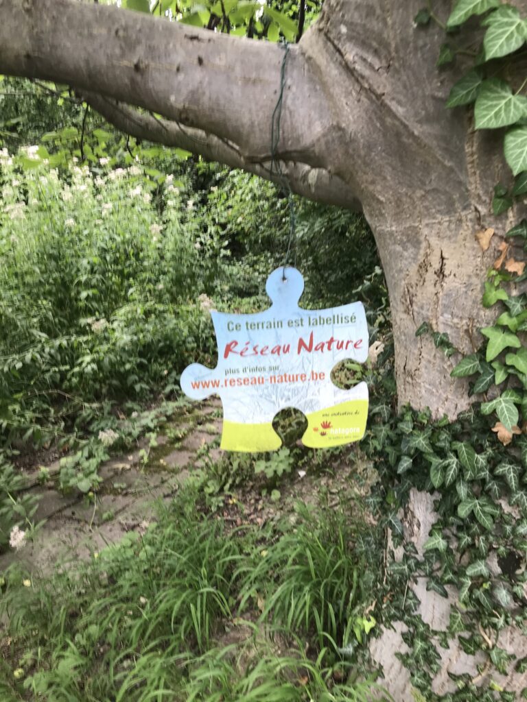 23/09/2026 - News - Potager du Houtweg et jardin des aromatiques
