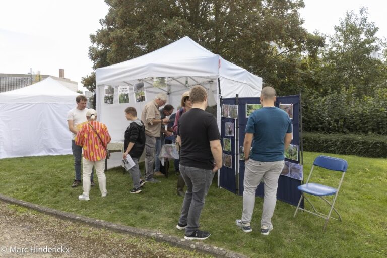 26-27/09/2026 - News - Fêtes romanes à WSL