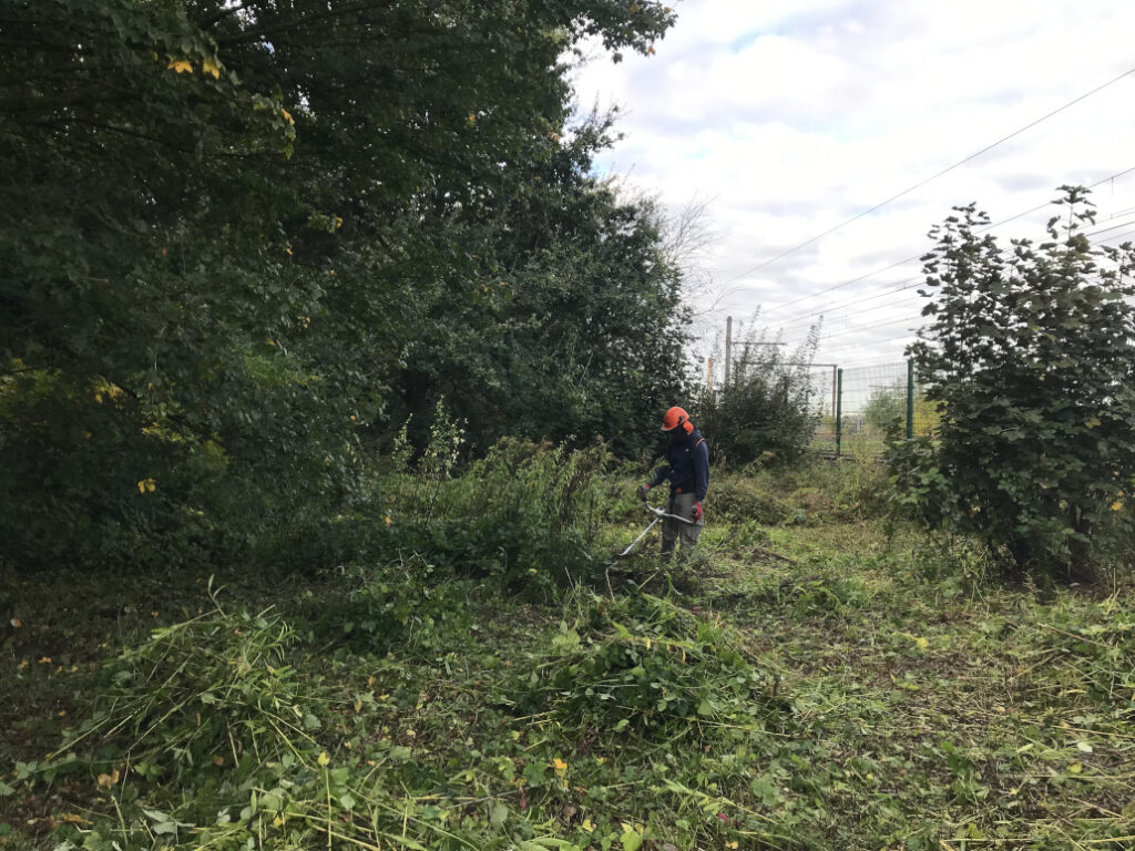 15/1082026 - News - Siemens en gestion au Moeraske